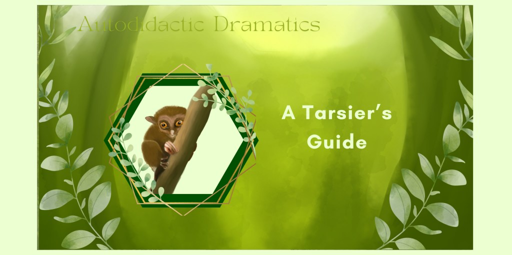How to live like a gremlin shot out of a canon: A Tarsier’s Guide to&nbsp;life